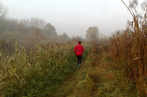 Läufer auf Pfad am Wasser, Landschaft im Nebel