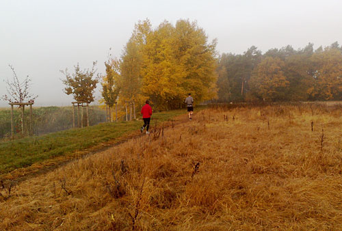 Läufer in orange-brauner Herbst-Landschaft