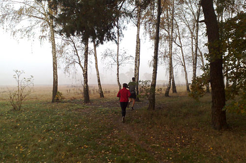 Läufer zwischen Birken, im Hintergrund Nebel