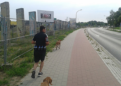 Läufer mit Hunden an der Zeppelinstraße in Teltow
