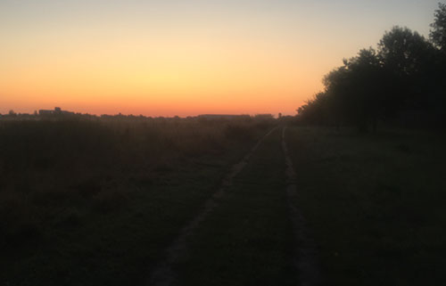 Sonnenaufgang über den Feldern im Freizeitpark Marienfelde