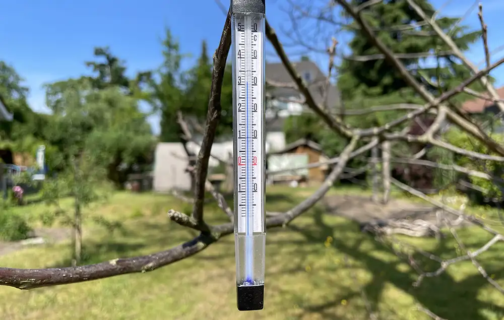 Thermometer hängt am Baum in der Sonne und zeigt 31 Grad